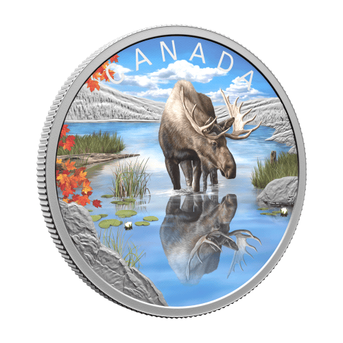 1 oz 2024 Wildlife Reflections: Moose Silver Coin | Royal Canadian